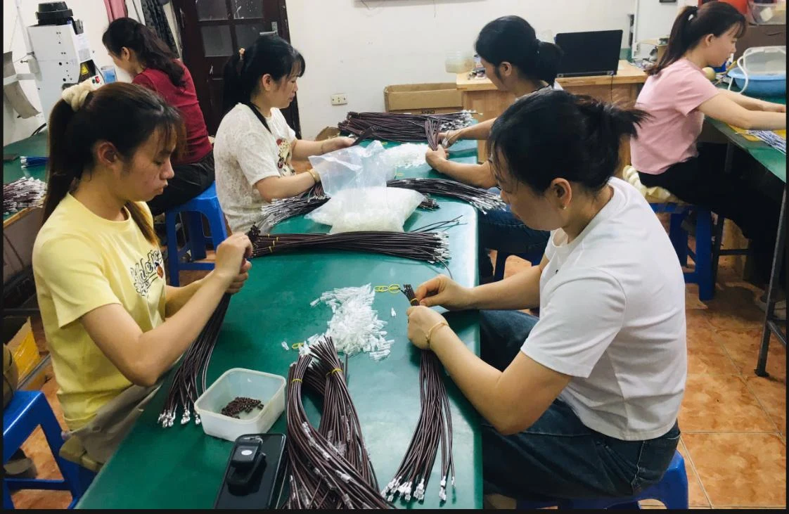 Nhân sự gia công và hoàn thiện bộ dây